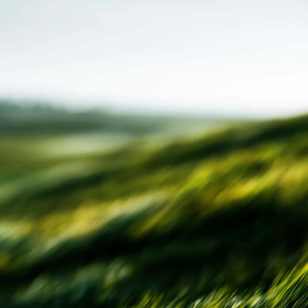 Blurred green landscape streaks